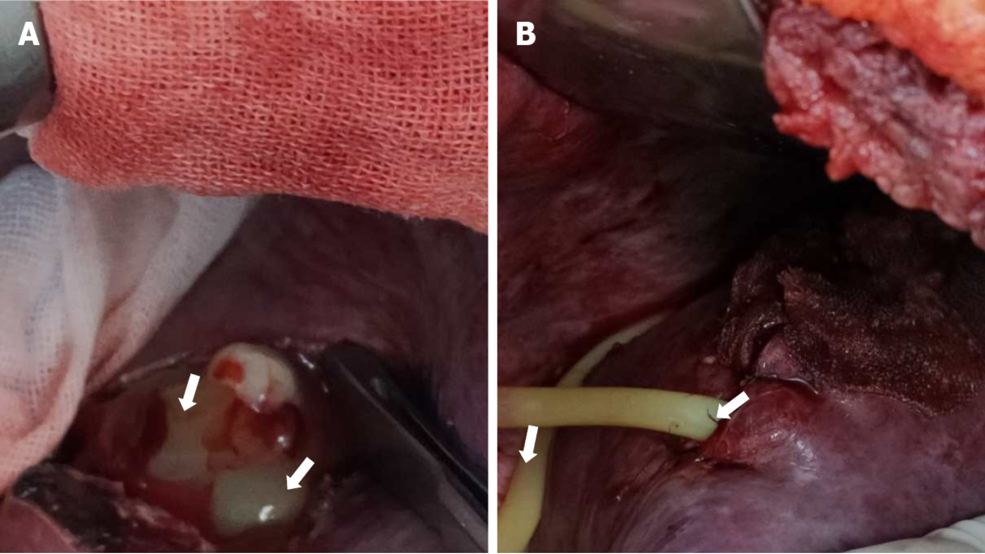 Physiotherapy & Rehabilitation